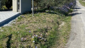 A sign for "Casa del Vacanziero" with a pathway lined with cypress trees and purple flowers. - Suite Family Room with Attic and View, use of two pools at Casale del Vacanziere (Toscana)
