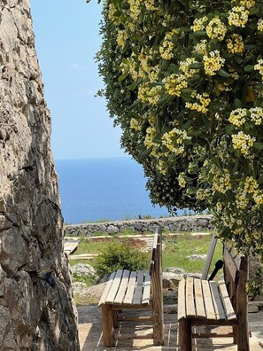 A wooden bench under a tree with yellow flowers, overlooking a rocky coastline.