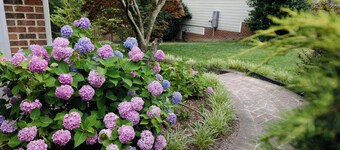 Charming 3-bedroom basement with private entrance in a house in West Cary NC