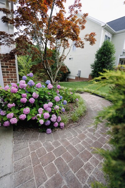 Charming 3-bedroom basement with private entrance in a house in West Cary NC
