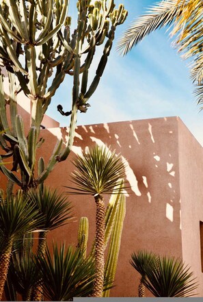 11 chambres, Internet