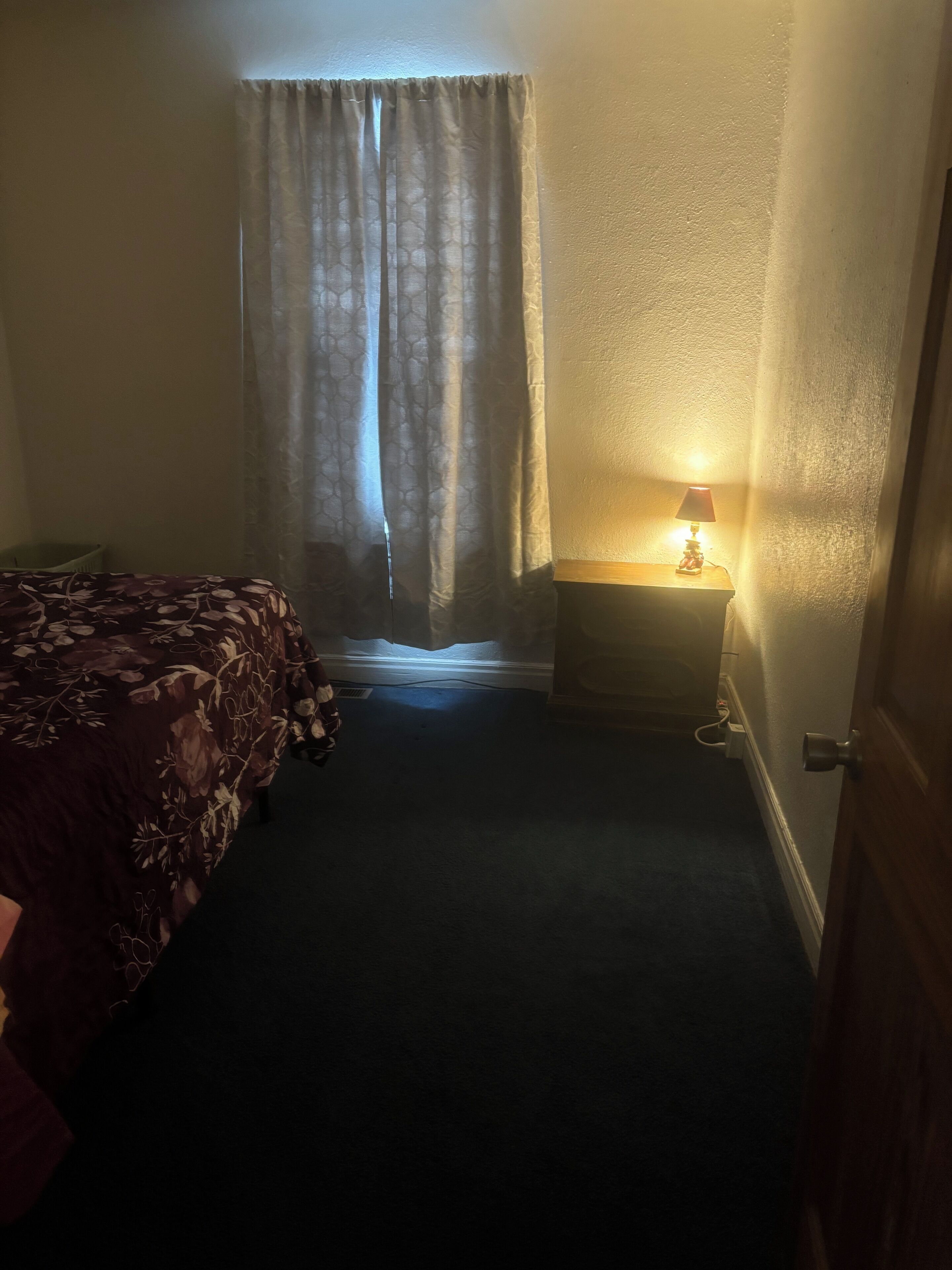 Et hotelværelse med en seng, et natbord med lampe, et vindue med gardiner og et tæppe på gulvet.