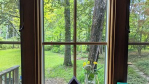 Una ventana con vista a un jardín y árboles.