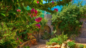 Un jardín con muro de piedra, una bicicleta y diversas plantas.