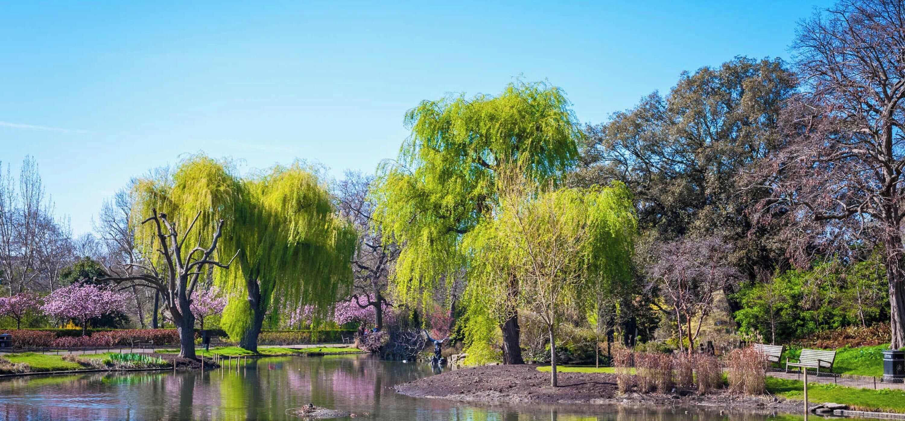 Appartement | 1 slaapkamer