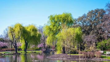 Appartement | 1 slaapkamer