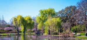 Appartement | 1 chambre