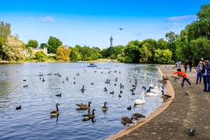 Un lac avec des canards et des oies, un bateau et des personnes sur la rive.