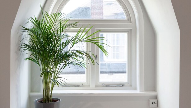 A bedroom with a white bed, a potted plant on a window sill, and a white radiator. - Stairway To Heaven - Fitzrovia - by Frankie Says (London)