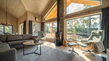 Televisor i llar de foc