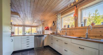 Great home for large groups in Vrådal
