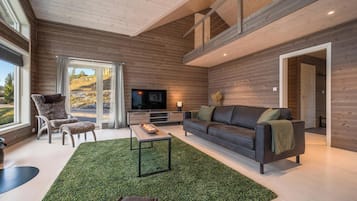 Smart TV, video library, stereo