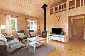 Smart-TV, DVD-spiller og filmbibliotek