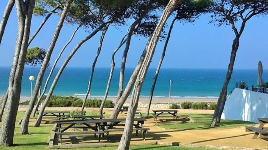 Rotonda III 25082 in Conil de la Frontera