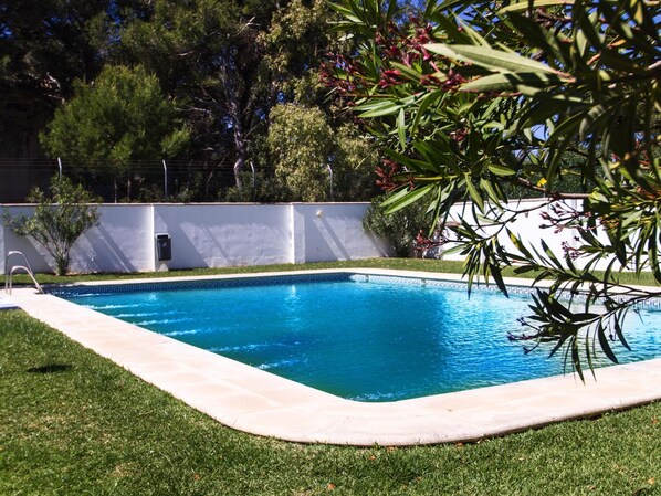 Piscina rectangular con borde enlosado, rodeada de césped cuidado y un muro blanco.