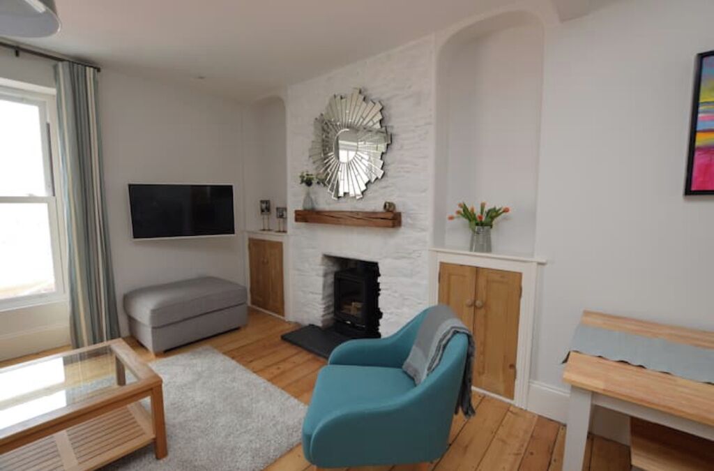 Smart TV, fireplace, books