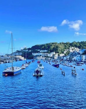 Marina - Quayside house with fabulous river views (Looe)