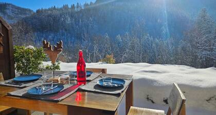 Apartement with terrace ideal location