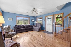 Smart TV, fireplace, DVD player, books