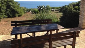 A wooden bench with a view of the sea and greenery.