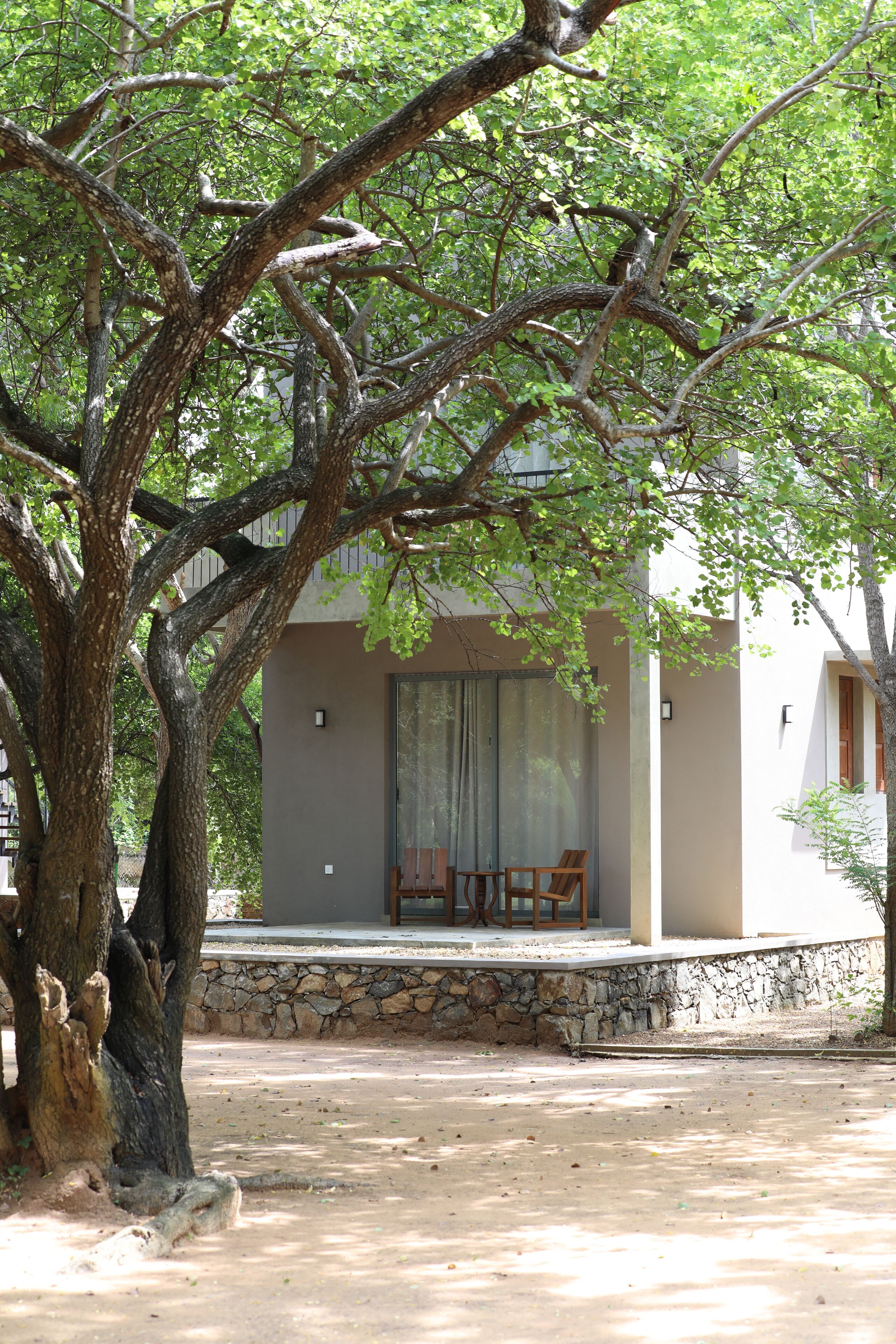 A tree-lined pathway leading to a building with a stone wall and a covered seating area.
