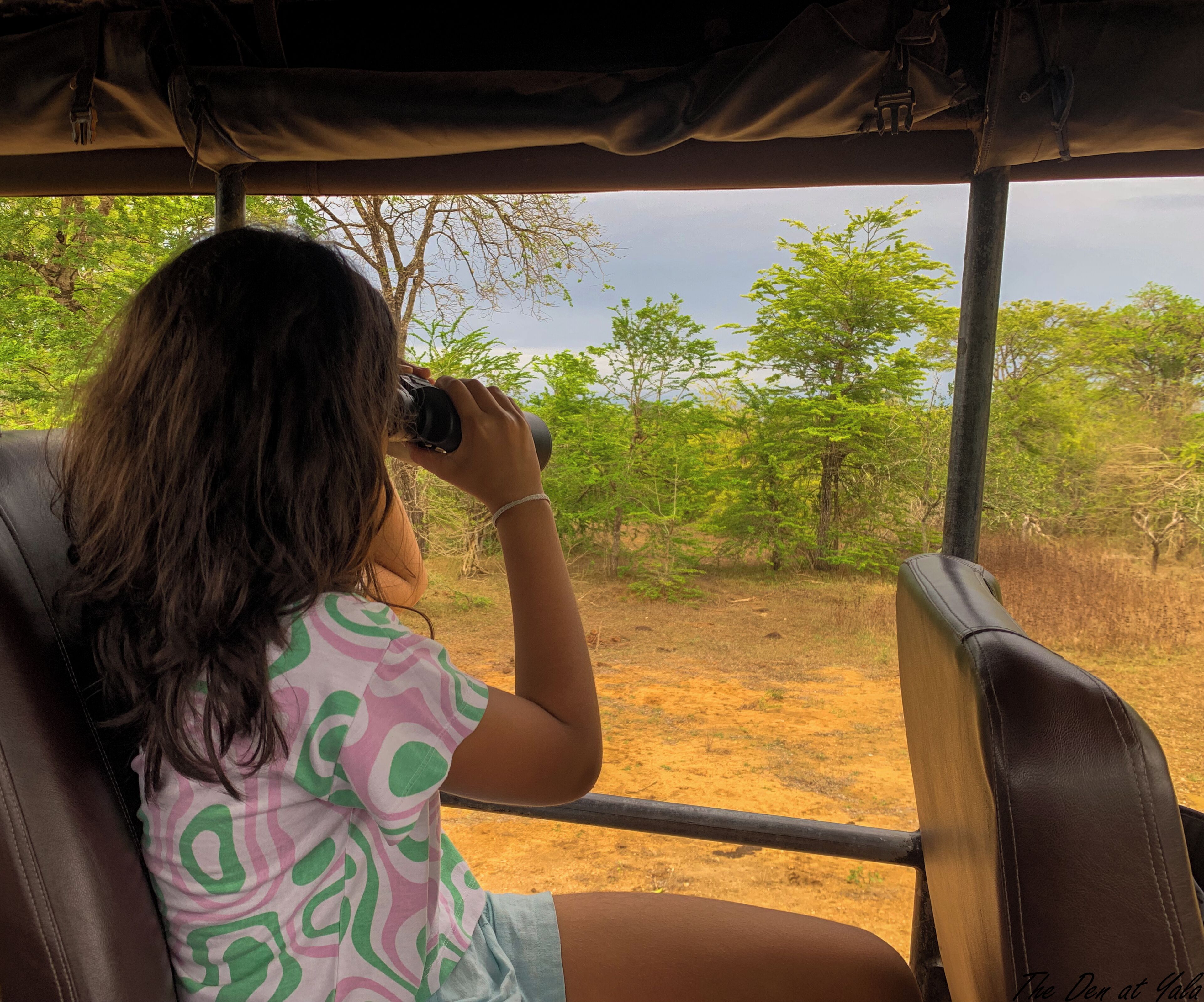 A person seated inside a vehicle, looking out through a window at a natural landscape with trees and dry ground.