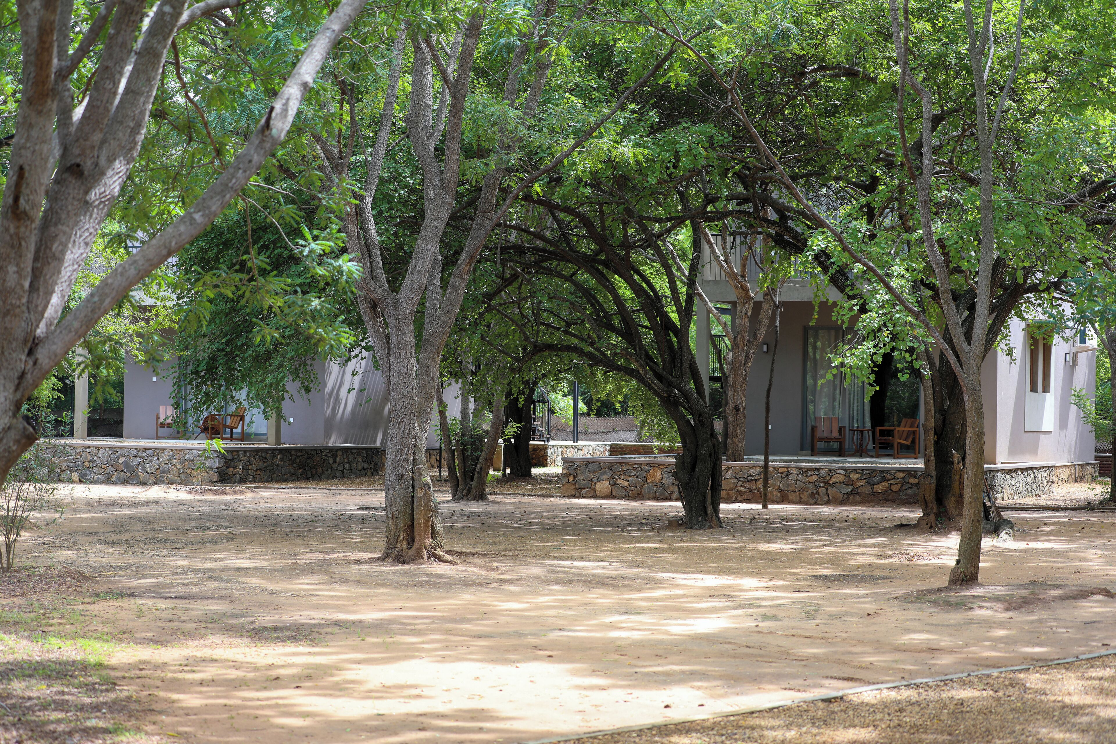 A courtyard with trees, a stone wall, and a building with a stone facade.