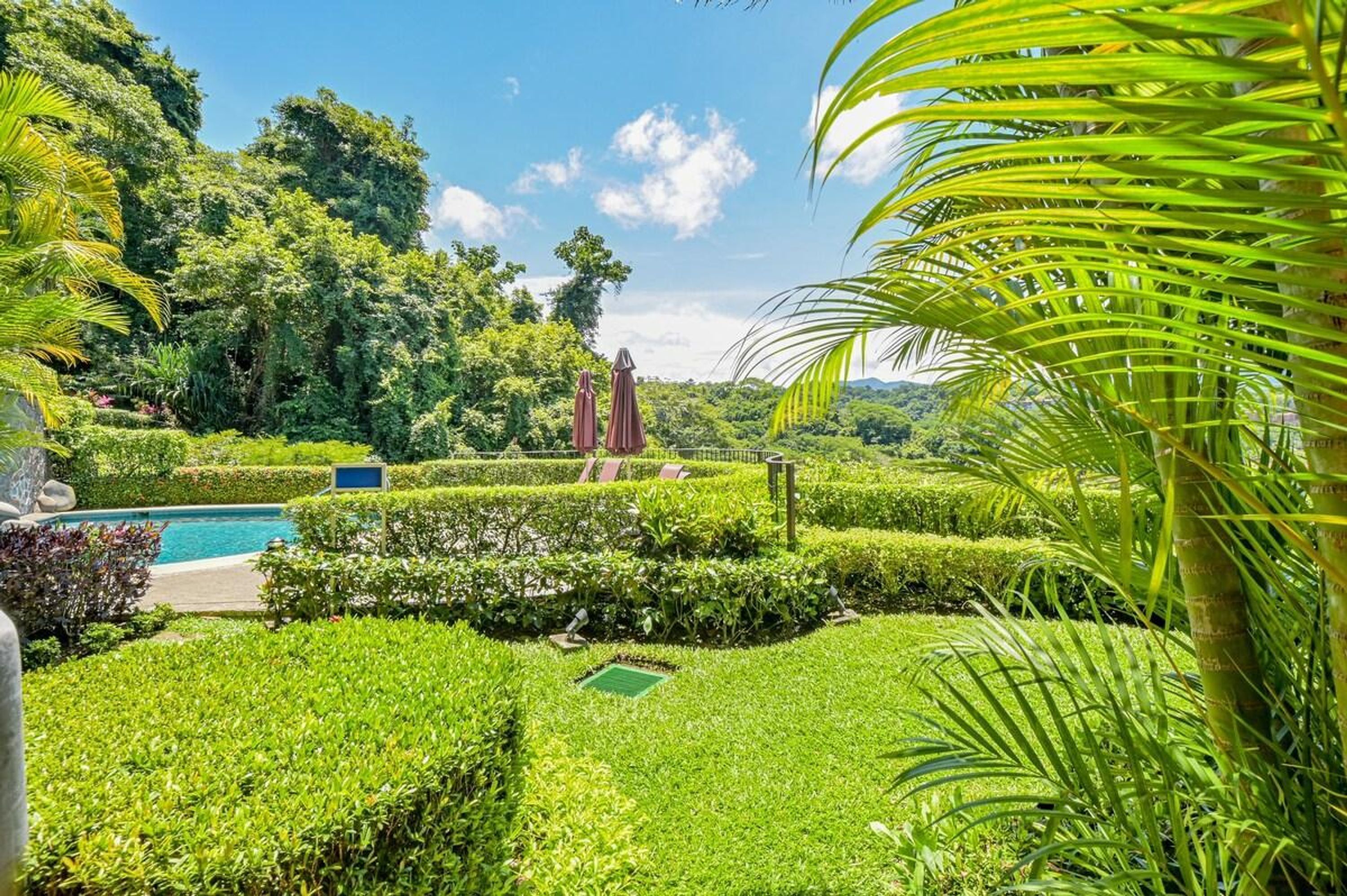 A well-maintained garden with a swimming pool, neatly trimmed hedges, and a variety of tropical plants.