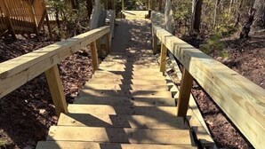 A wooden staircase leading uphill, flanked by wooden railings, surrounded by trees. - Great Lake Haven between Pentwater and Silver Lake (Mears)