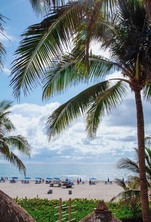 Uma praia com palmeiras, céu claro e mar tranquilo.