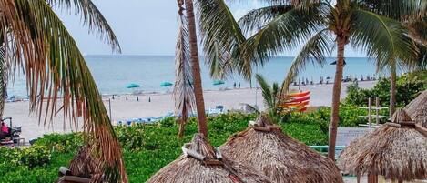 A beachside resort with thatched umbrellas, beach chairs, and a view of the ocean.