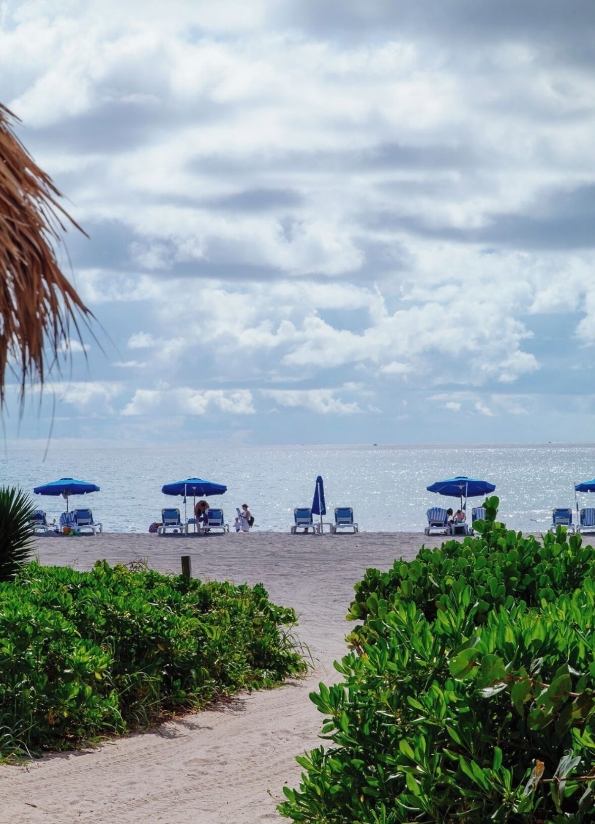Une plage avec des parasols bleus et des chaises longues.