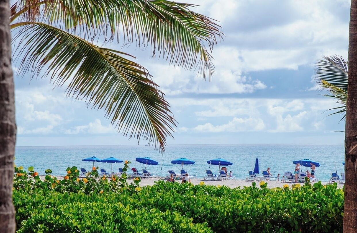 A beach with palm trees, blue umbrellas, and lounge chairs.