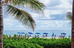 A beach with palm trees, blue umbrellas, and lounge chairs. - Ocean view! 2bd at The Palm Beach Resort and Spa (Riviera Beach)