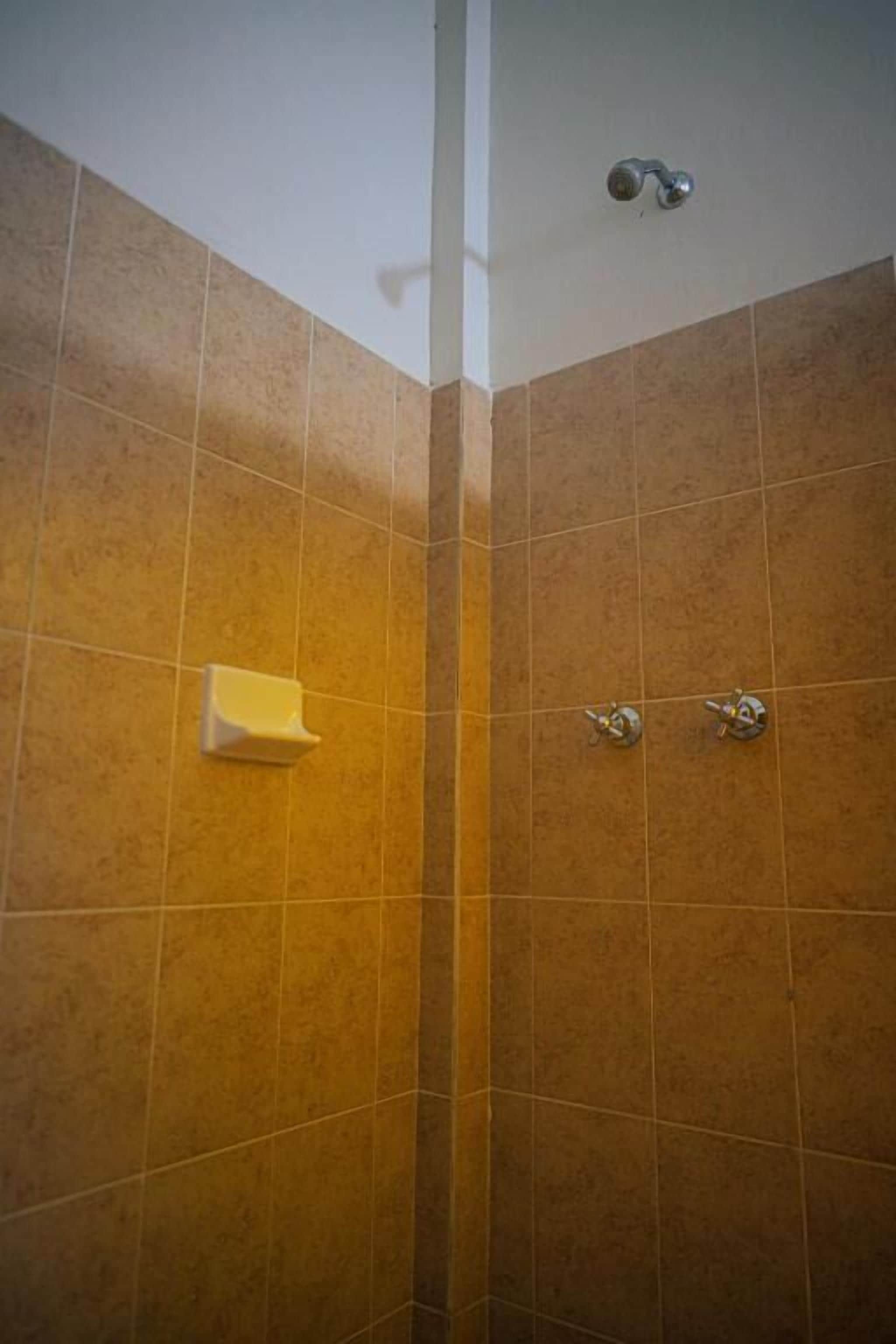 Un rincón de baño con azulejos marrones, un dispensador de toallas blanco y un cabezal de ducha.