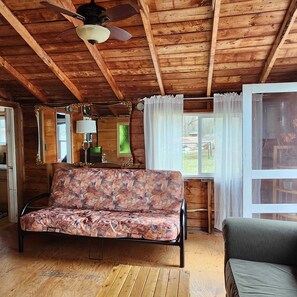 TV, DVD player, books, video library