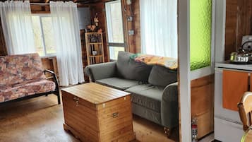 TV, DVD player, books, video library
