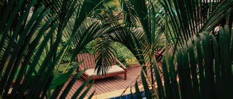 Apartment | Pool | Indoor pool