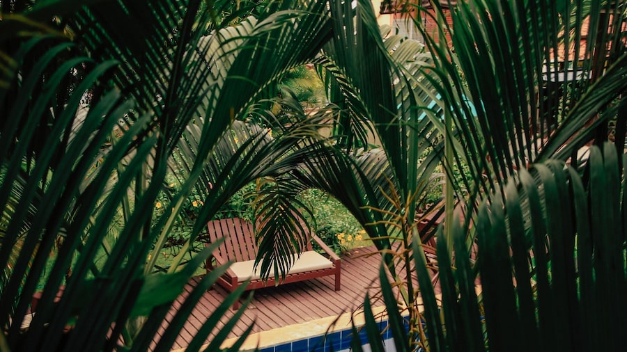 Pousada Pipa Panorama