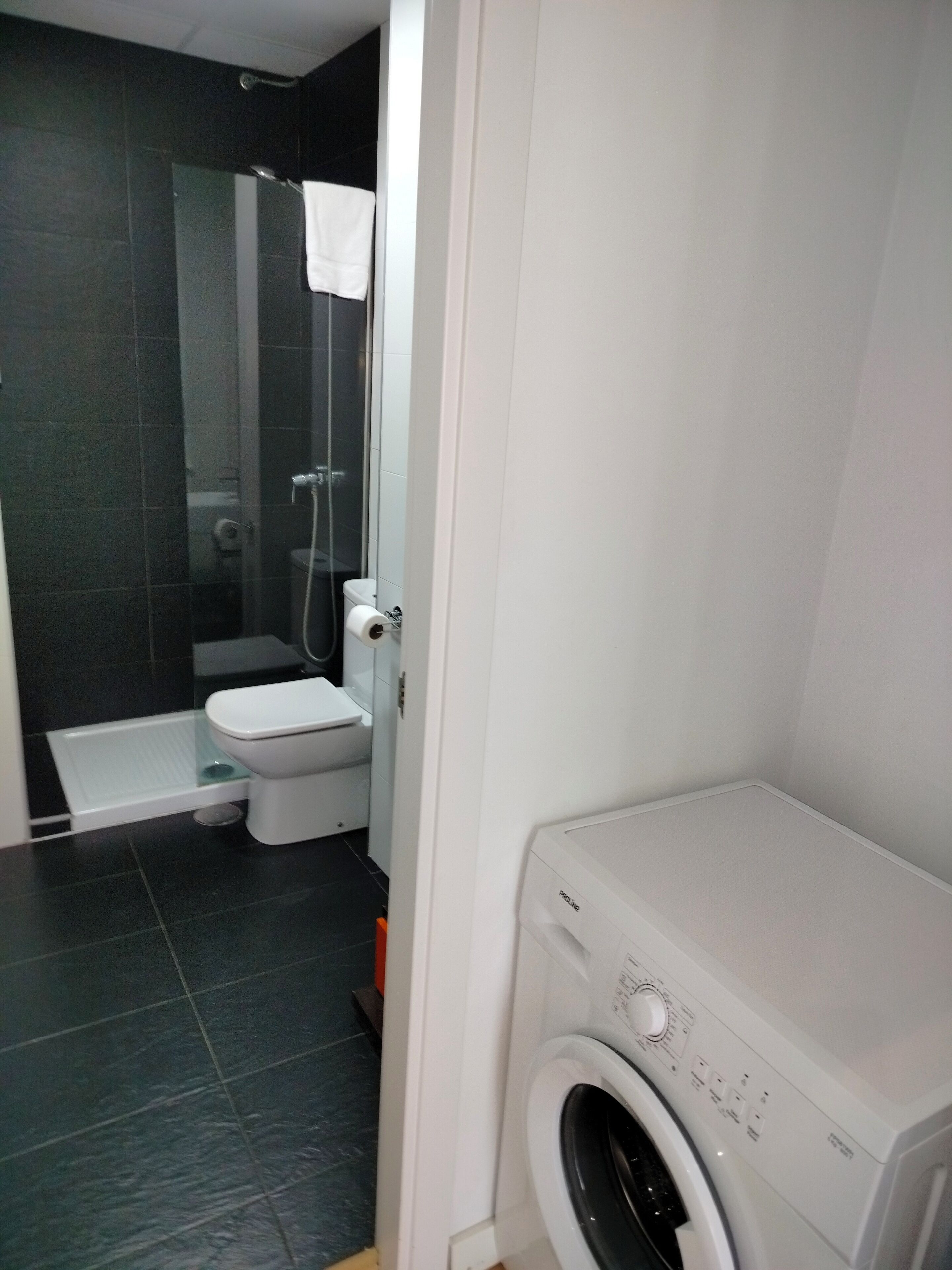 A compact bathroom with a toilet, a glass shower enclosure, and a front-loading washing machine.