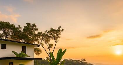 Modern Jungle Estate with Incredible Ocean View