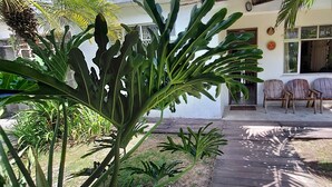 Un'area patio con pavimento in legno, diverse sedie e piante tropicali.