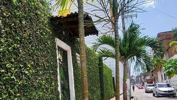 Una strada alberata da palme e delimitata da un siepe, con un cancello e auto parcheggiate.
