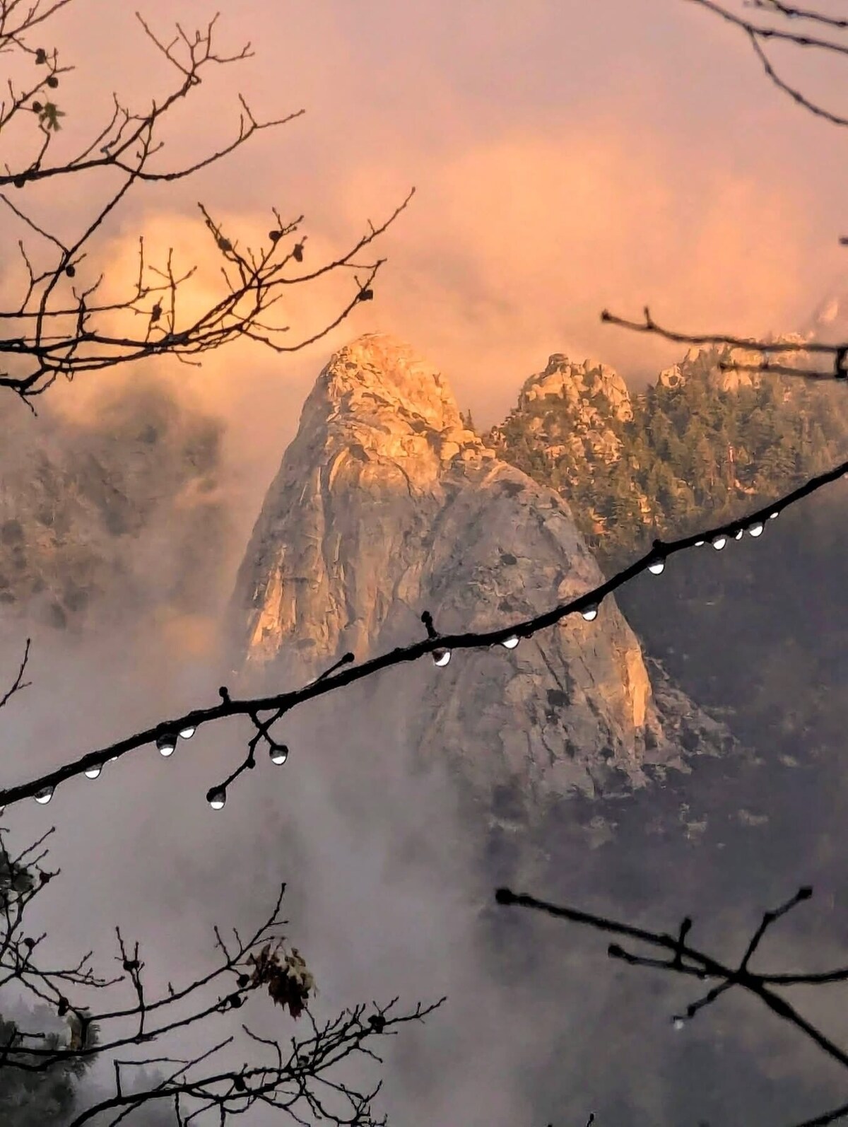 Imagem do perfil do anfitrião