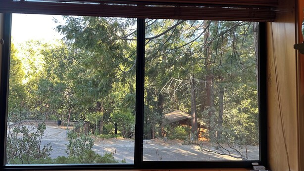 A room with a large sliding glass door leading to a forested area. - Charming studio in awesome Idyllwild-Pine Cove with WiFi, AC (Idyllwild-Pine Cove)