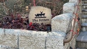A stone wall with a sign reading "The Fetter's" and a red-leaved plant. - Charming studio in awesome Idyllwild-Pine Cove with WiFi, AC (Idyllwild-Pine Cove)