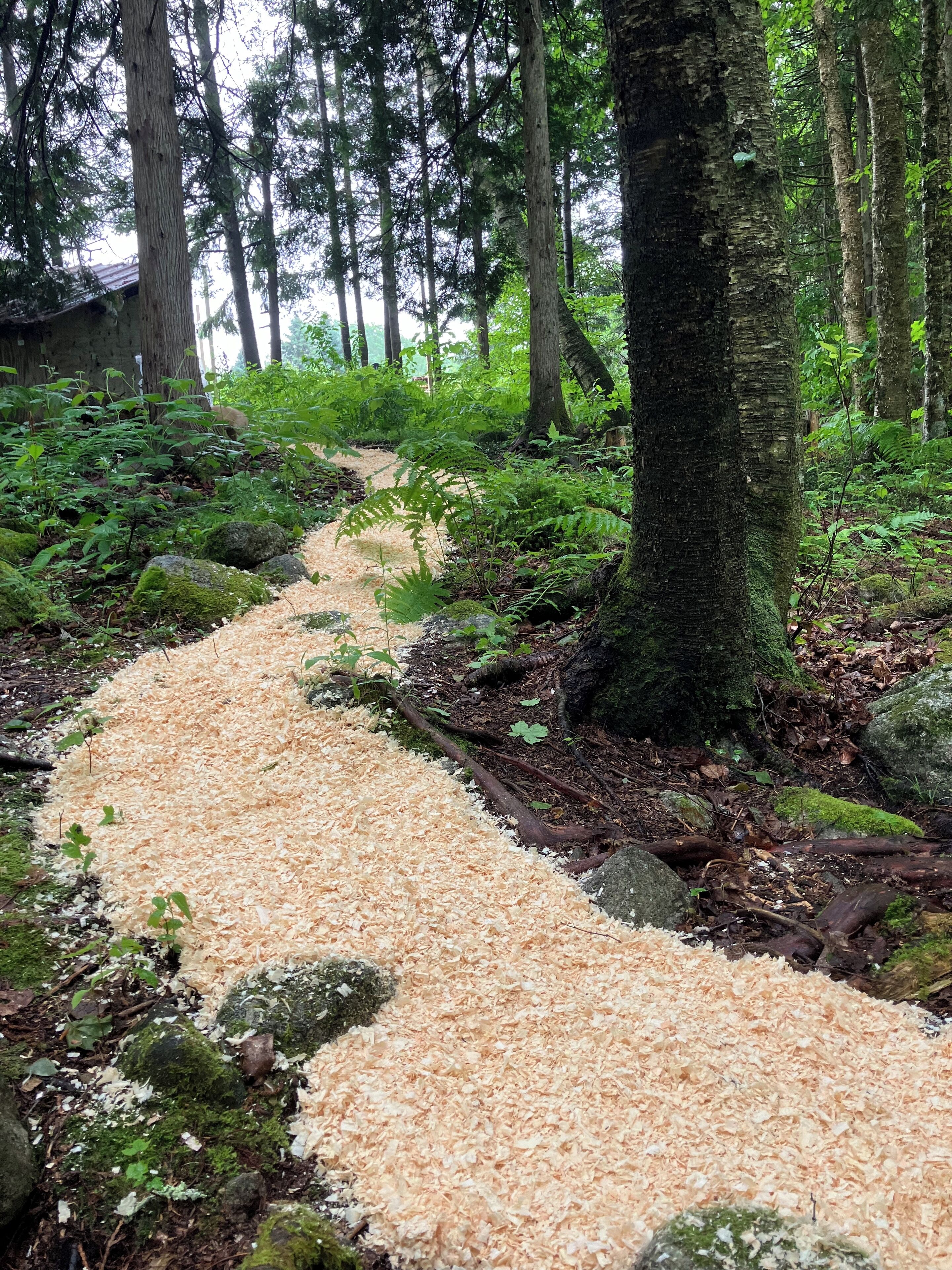 المنطقة المحيطة بالمنشأة