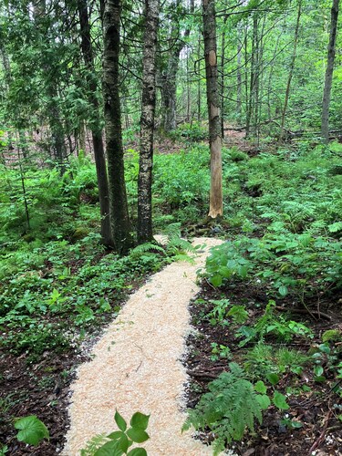 The Central Ranch— minutes to Acadia & Coastal Maine