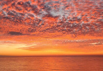 Chesapeake Bay Escape