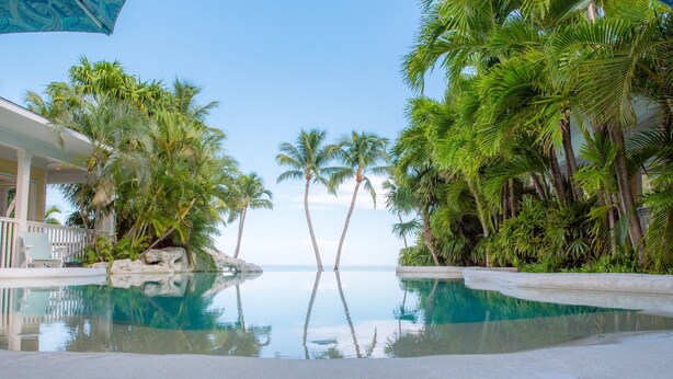 A pool with palm trees and a clear sky. - Island Palm Estate in Islamorada (Islamorada)